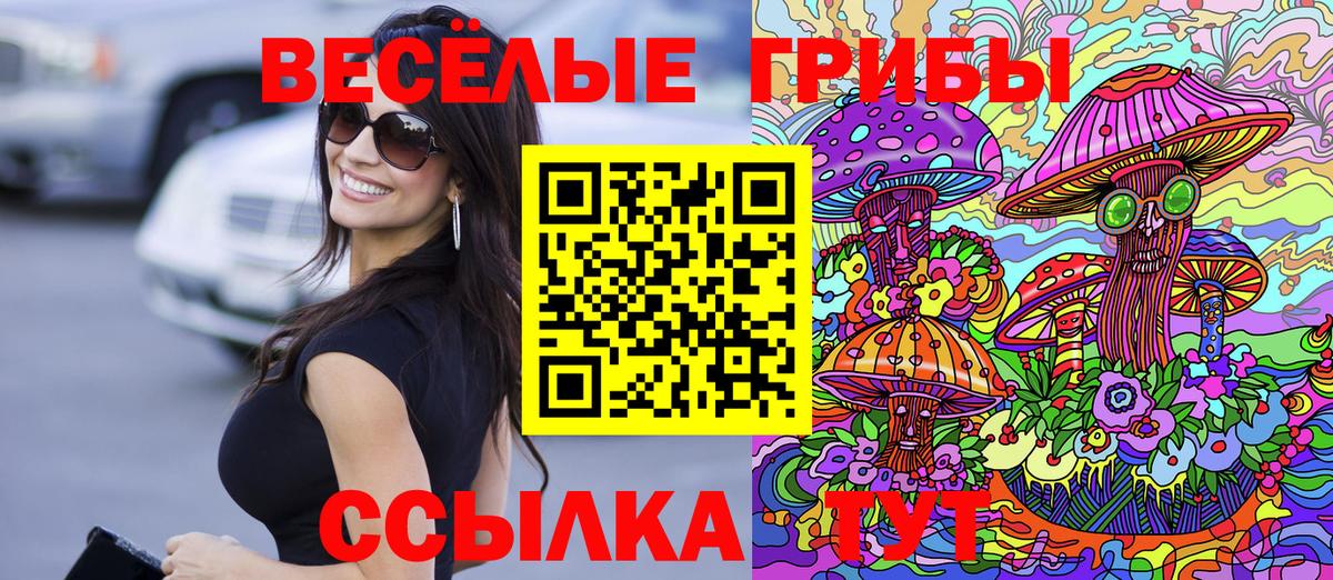 Псилоцибиновые грибы Psilocybe  Галлюциногенные грибы Psilocybine cubensis  Вход с VPN  Благодарный 